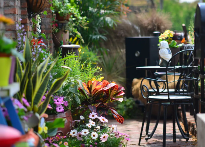 俊美琪丨做庭院的守護者，享受醉美時光！